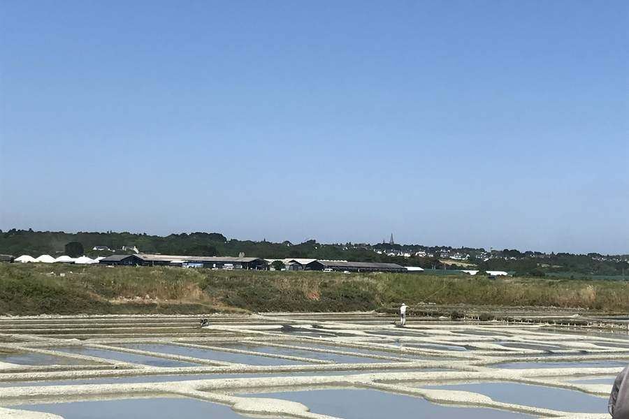 ゲランドの塩田と塩の収穫